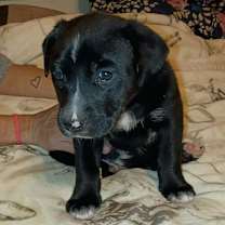 Thumbnail photo of Cash #1