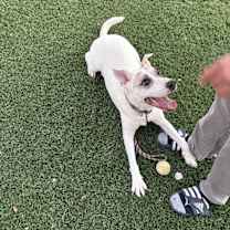 Thumbnail photo of Jake #4