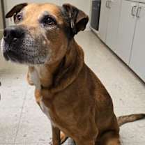 Thumbnail photo of Truman #2