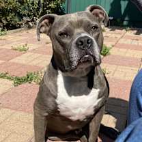 Thumbnail photo of Blue #2