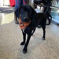 Thumbnail photo of B.B. King #1