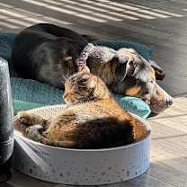 Thumbnail photo of Grizzly #3