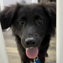 Thumbnail photo of Noel #3