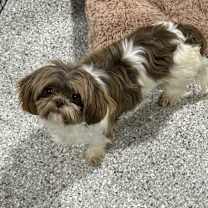 Thumbnail photo of Brooklyn #1