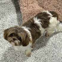 Thumbnail photo of Brooklyn #2