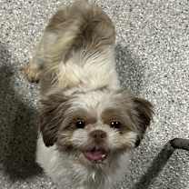 Thumbnail photo of Amy #1