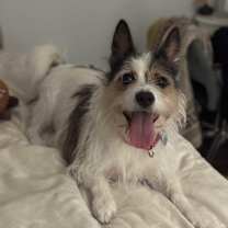 Thumbnail photo of lego #1