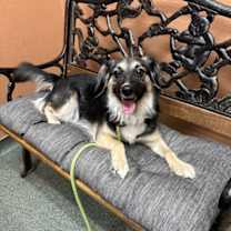 Thumbnail photo of Fancy Pants #2