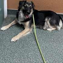 Thumbnail photo of Fancy Pants #3