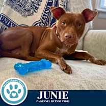 Thumbnail photo of Junie 120625 #1