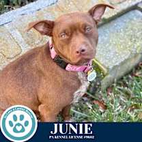 Thumbnail photo of Junie 120625 #2