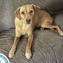 Thumbnail photo of Britt 120625 #1