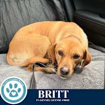 Thumbnail photo of Britt 120625 #2