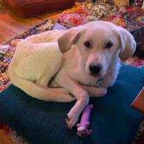 Thumbnail photo of Atlas #3