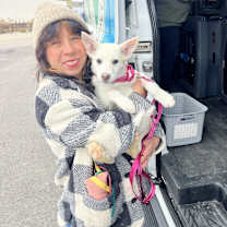 Thumbnail photo of Carnelian #4