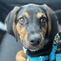 Thumbnail photo of Spritz #1