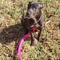 Thumbnail photo of Lore #2