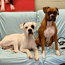 Thumbnail photo of Pavla #3