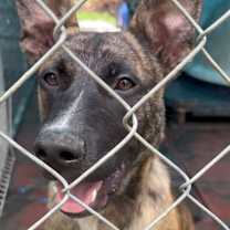 Thumbnail photo of Twister #2