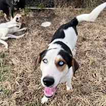 Thumbnail photo of Tony #1