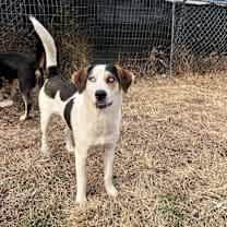 Thumbnail photo of Tony #2