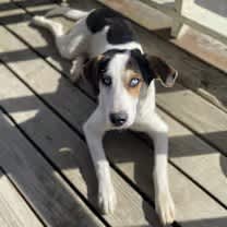 Thumbnail photo of Tony #4