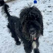 Thumbnail photo of Beacon #1