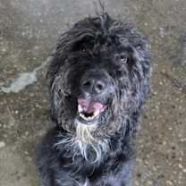 Thumbnail photo of Beacon #4