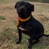 Thumbnail photo of Sabrina #2