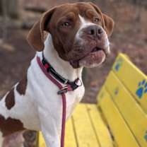 Thumbnail photo of Caps Lock #3