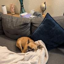 Thumbnail photo of Doris #3