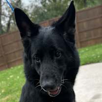 Thumbnail photo of Adelaide #2