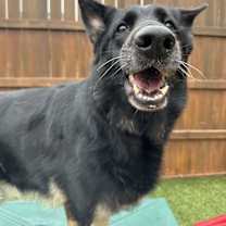 Thumbnail photo of Adelaide #4