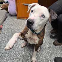 Thumbnail photo of Mildred  #3