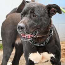 Thumbnail photo of Pinky #1