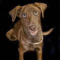 Thumbnail photo of Lila in CT #2