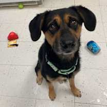 Thumbnail photo of Mandatory Fun #2