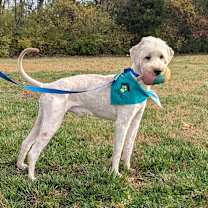 Thumbnail photo of Mowgli #1