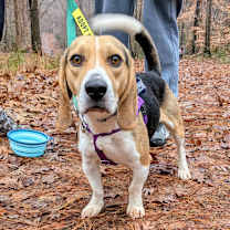 Thumbnail photo of Luneth #1