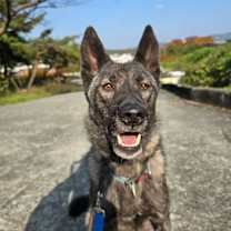 Thumbnail photo of Horang #3