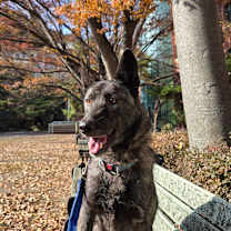 Thumbnail photo of Horang #2