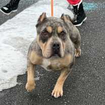 Thumbnail photo of Titus #4