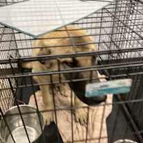 Thumbnail photo of River #2