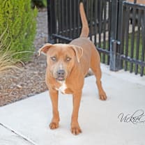 Thumbnail photo of Reed #3