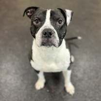 Thumbnail photo of Mills #3