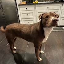 Thumbnail photo of Mo #2