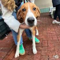 Thumbnail photo of Walker #2