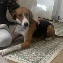 Thumbnail photo of Walker #3