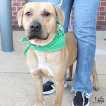 Thumbnail photo of Toto #2