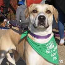 Thumbnail photo of Pudding #2